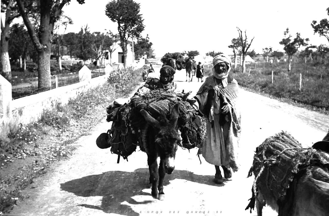 Images d'Algerie 275.jpg